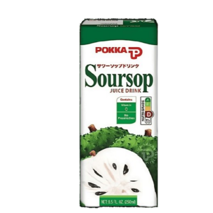 P SOURSOP TEA PACKET 250ML 24’S