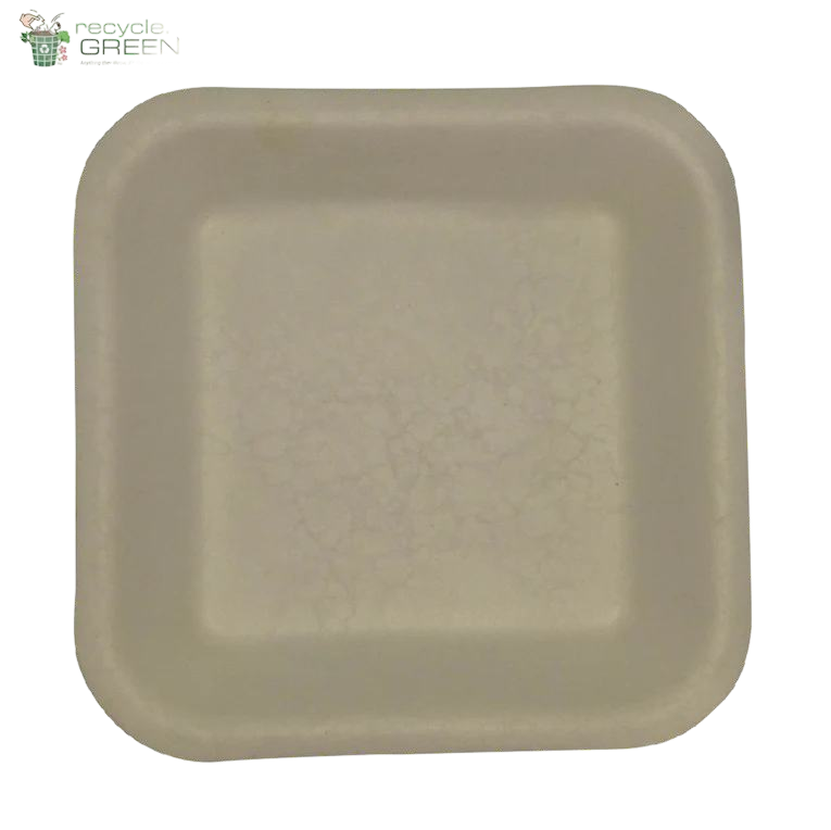 Square Plate 8" Bagasse