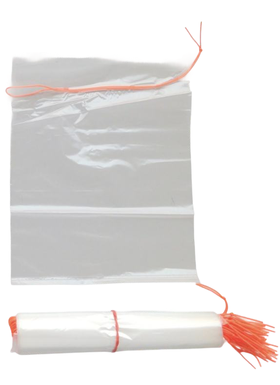 Plastic Bag with String 5" x 8" Green